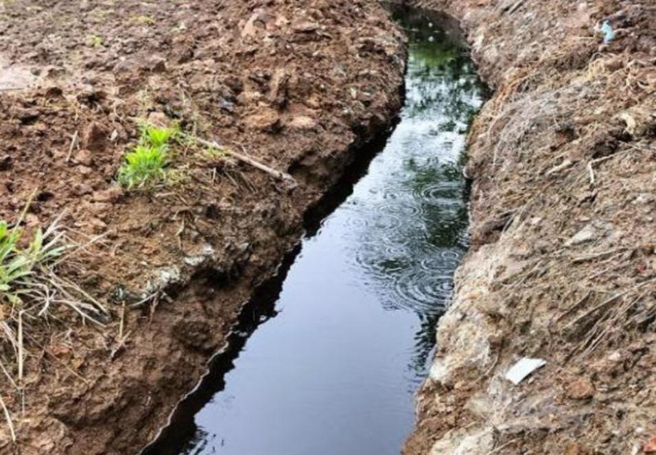 武汉通报&ldquo;新洲区李集街张信村黄土坡湾昌盛泡花碱厂相关环境问题&rdquo;：成立联合调查组