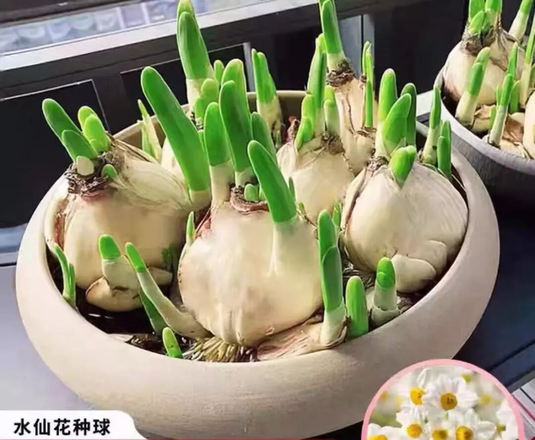 盒马被罚198元