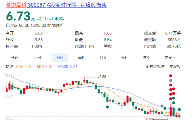财务造假！300087，将被ST